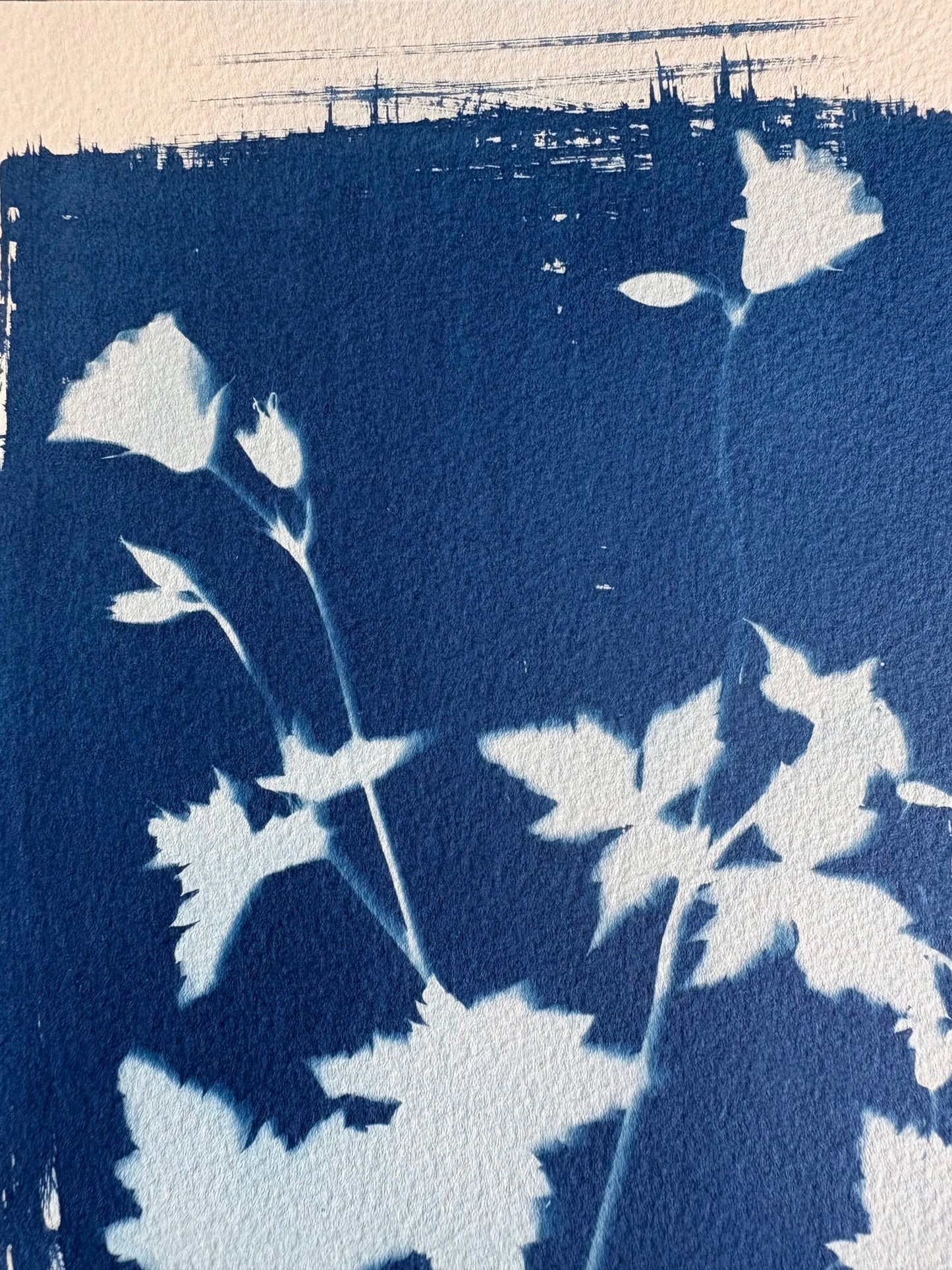 Geraniums 19x28cm - Original Print