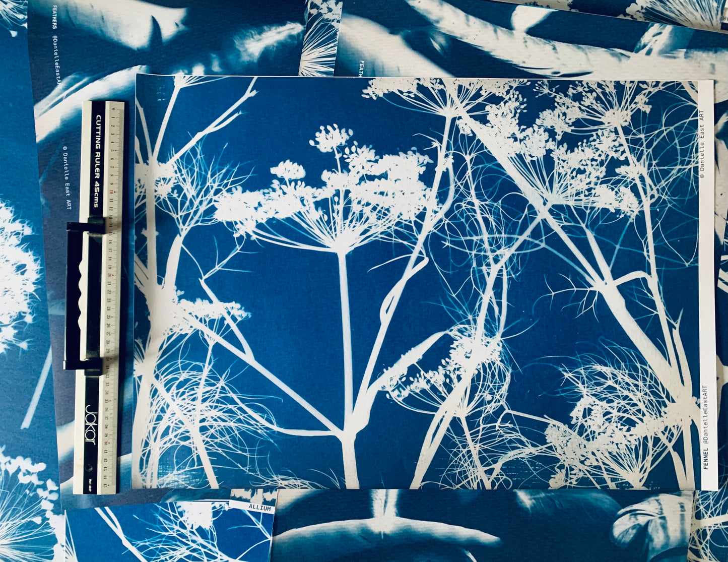 scale image with ruler of fennel cyanotype gift wrap