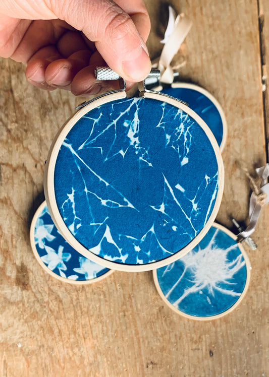 Sea Holly Leaves - Embroidery Hoop Cyanotypes 3”