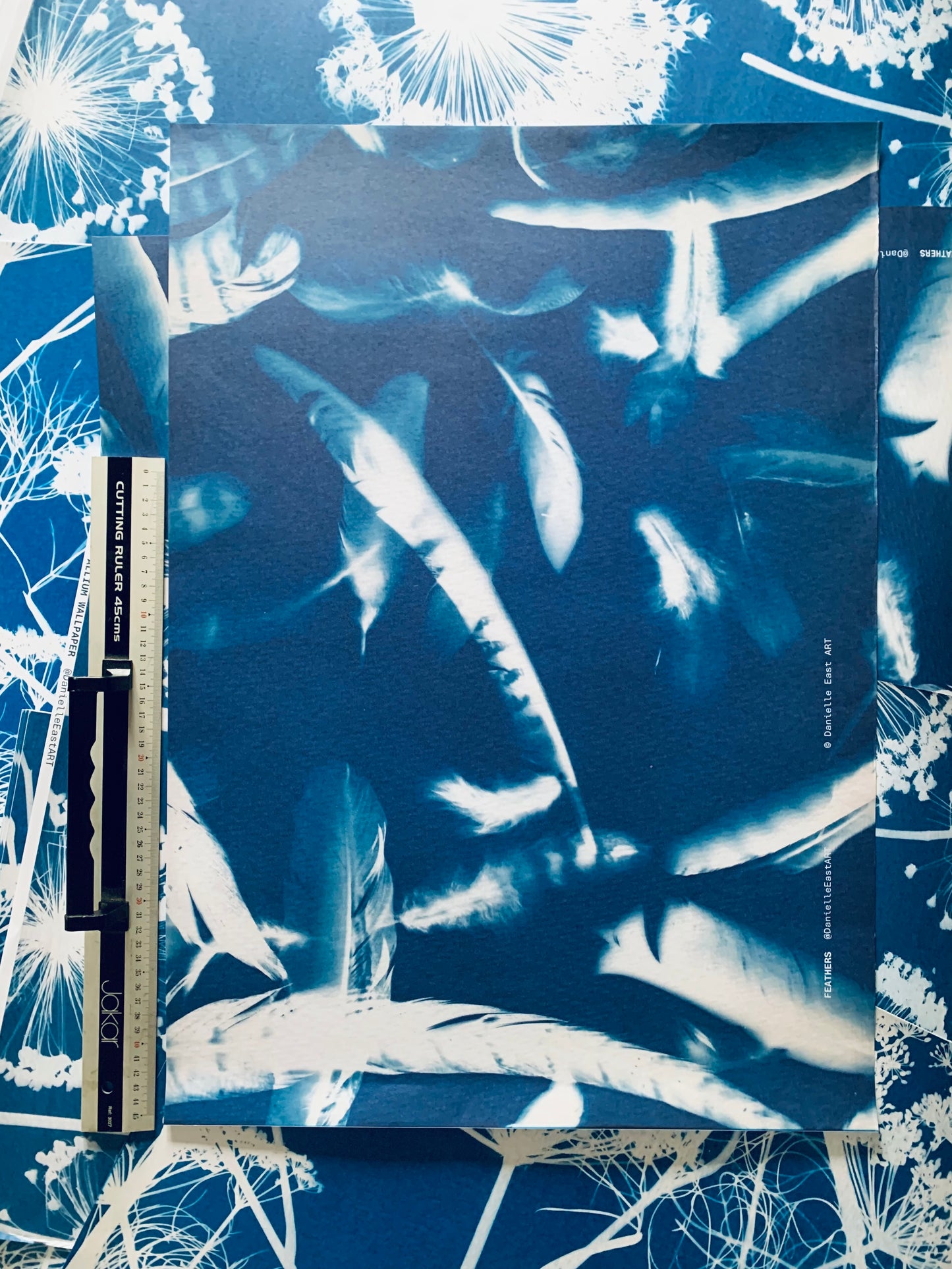 scale image with ruler of feathers cyanotype gift wrap from Danielle East ART