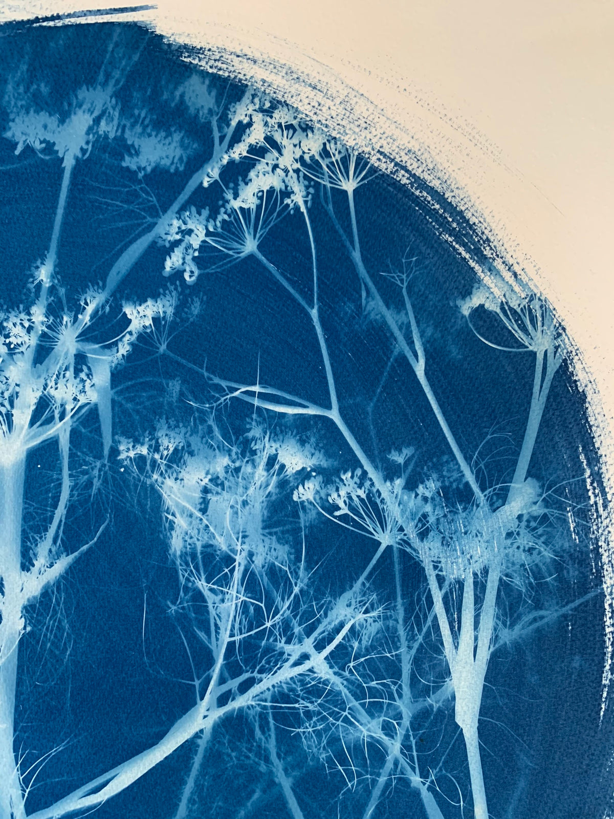 Fennel Blurred Round (22x30") Original Print - SALE