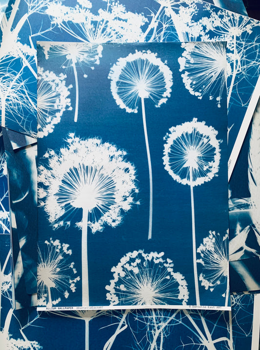 Allium Wallpaper Cyanotype Gift Wrap full image