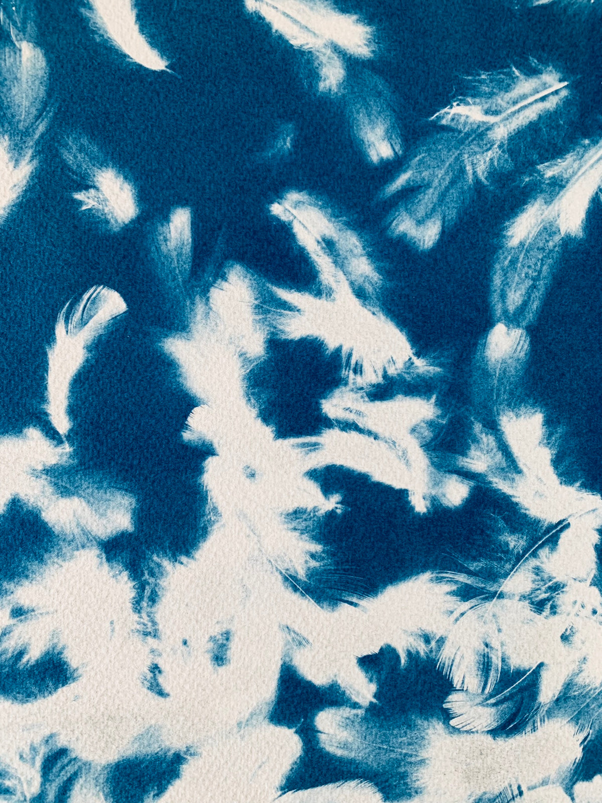 Falling Feathers (31x28cm) Original Print - SALE