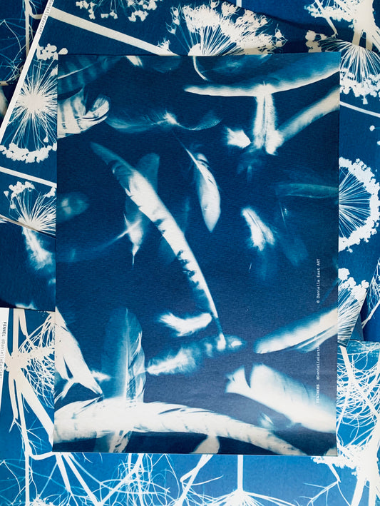 Feather cyanotype as gift wrap full image