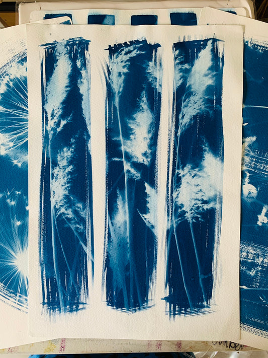 Reed three stripe (15x22") Original Print - SALE