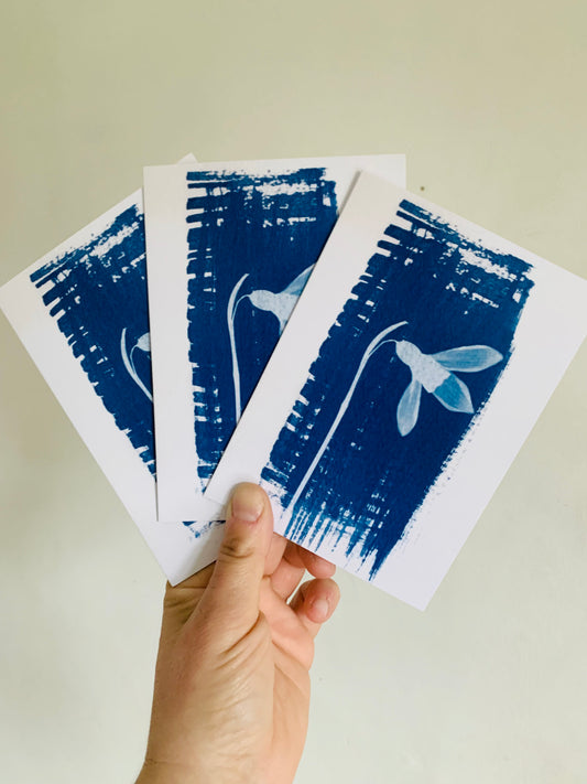 Pack of 3 Snow Drop Cyanotype Cards