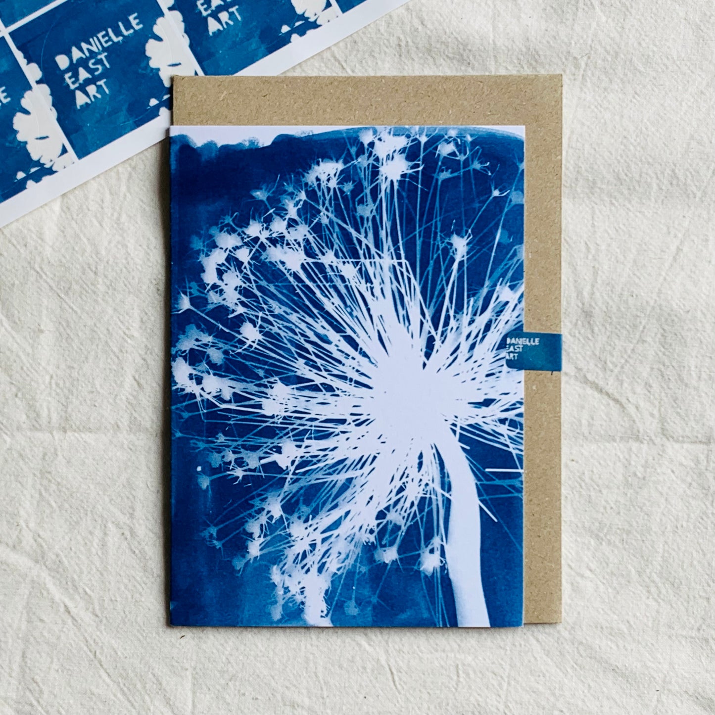 Allium Christophii - Cyanotype - Blank Card