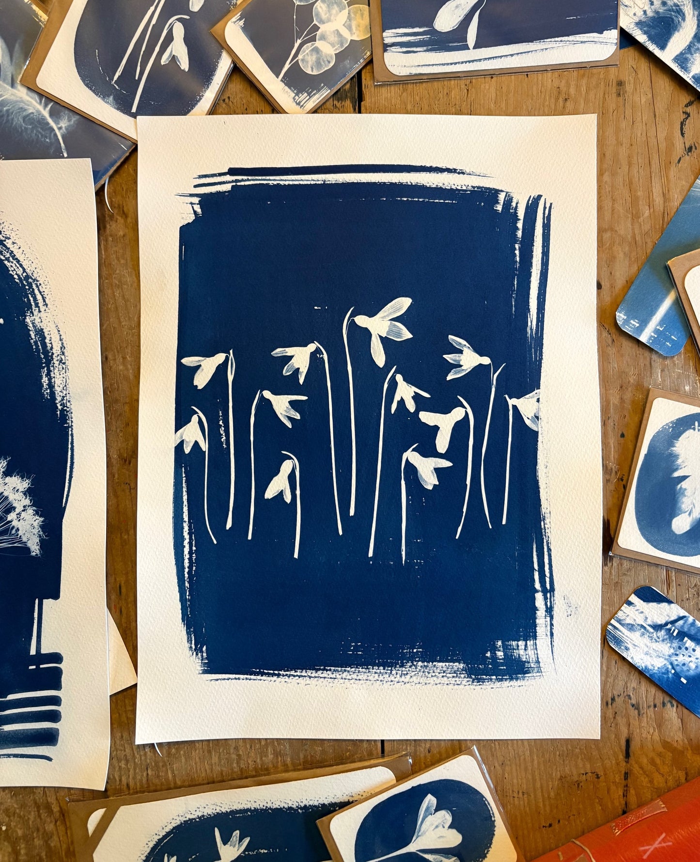 Snow Drops 38x28cm Original Cyanotype Print