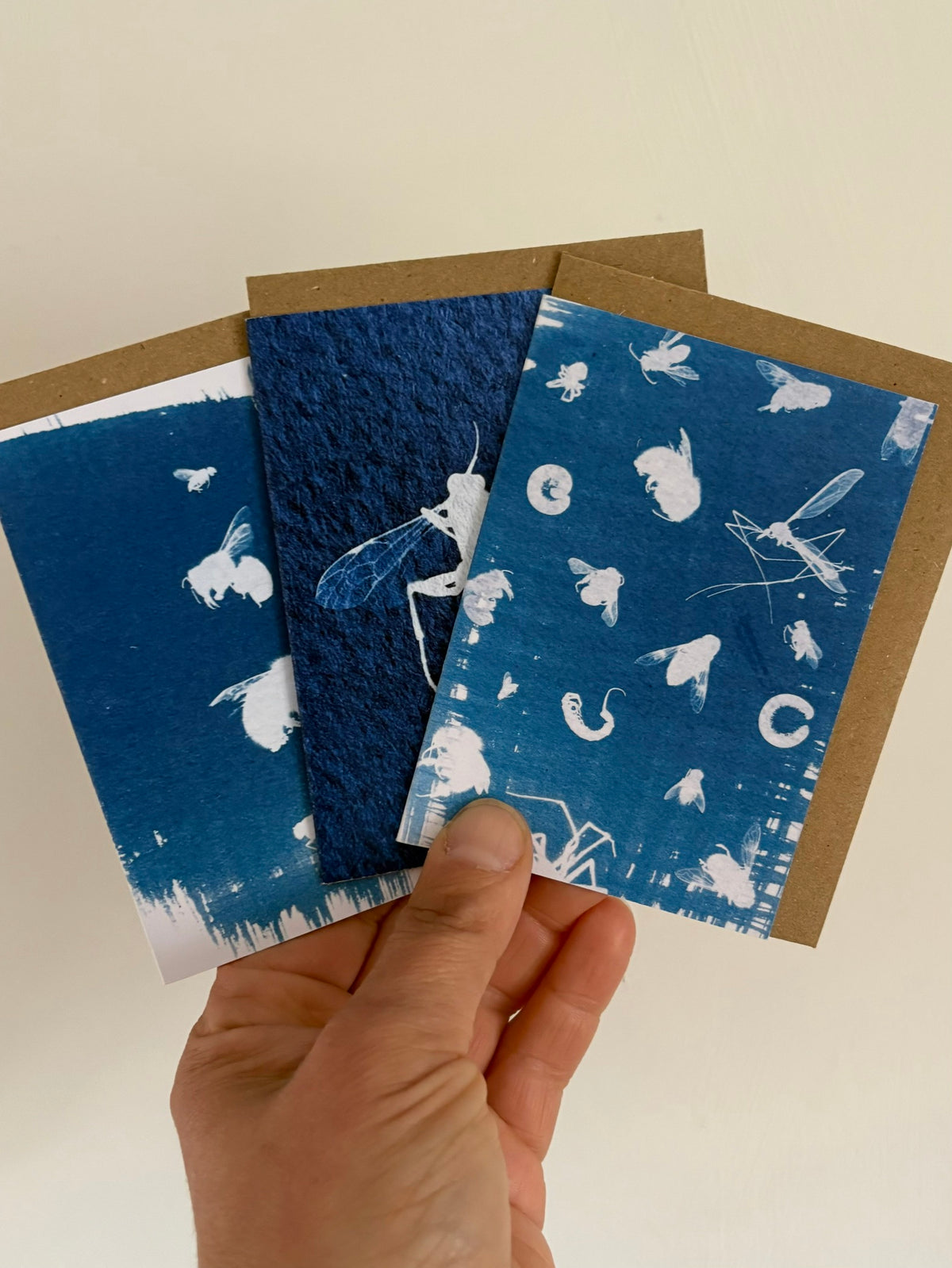 Set of 3 Mini Bug Cyanotype Cards