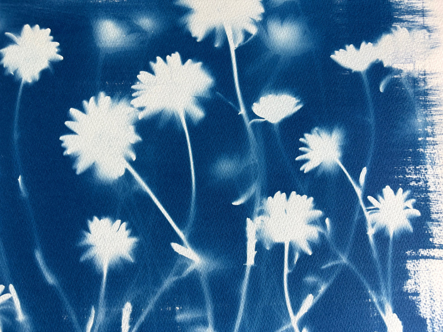 Ox Eye Landscape (15x22") Original Print