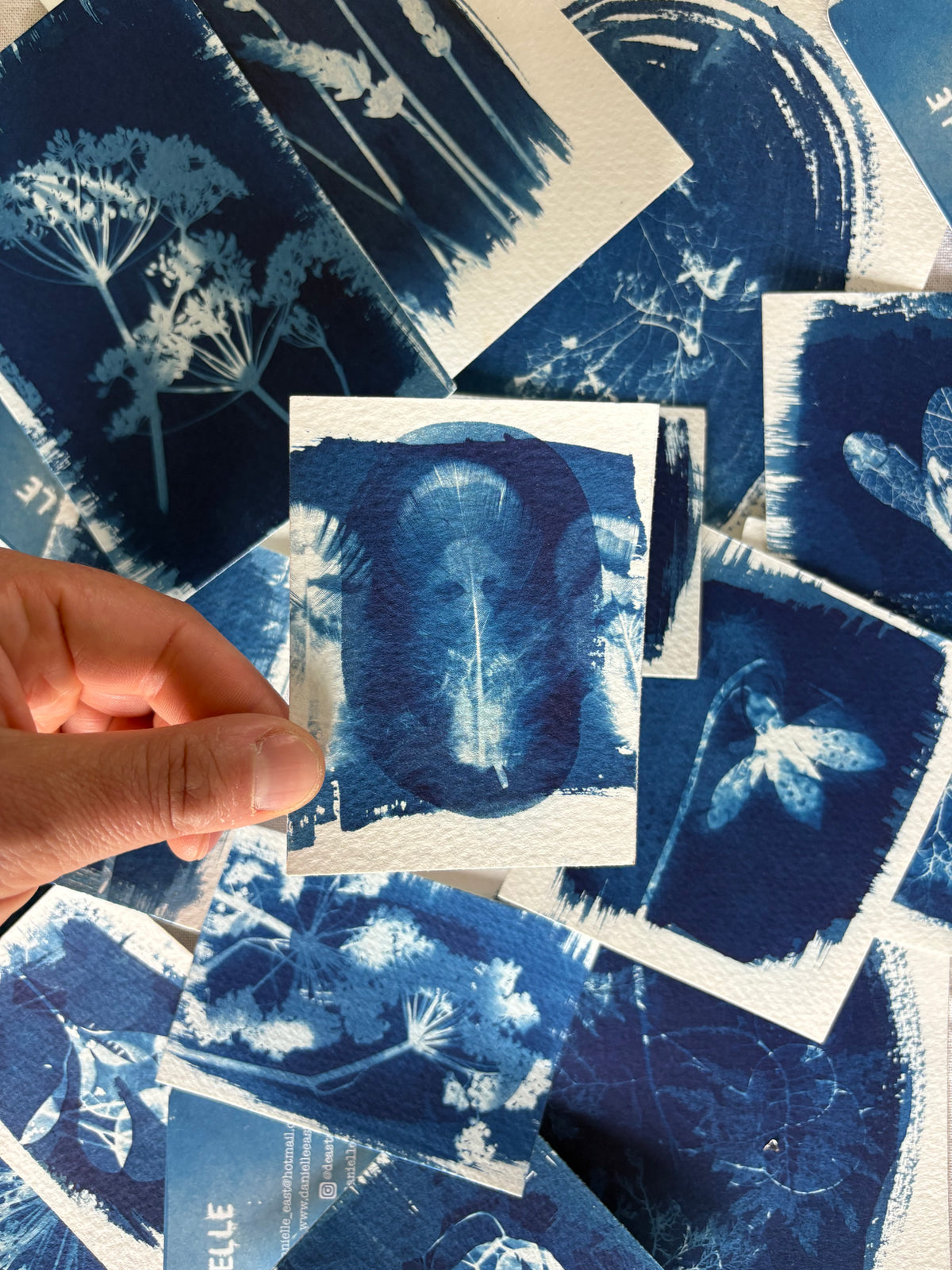 Feathers Double Exposure 7x9.5cm - Original Print - SALE