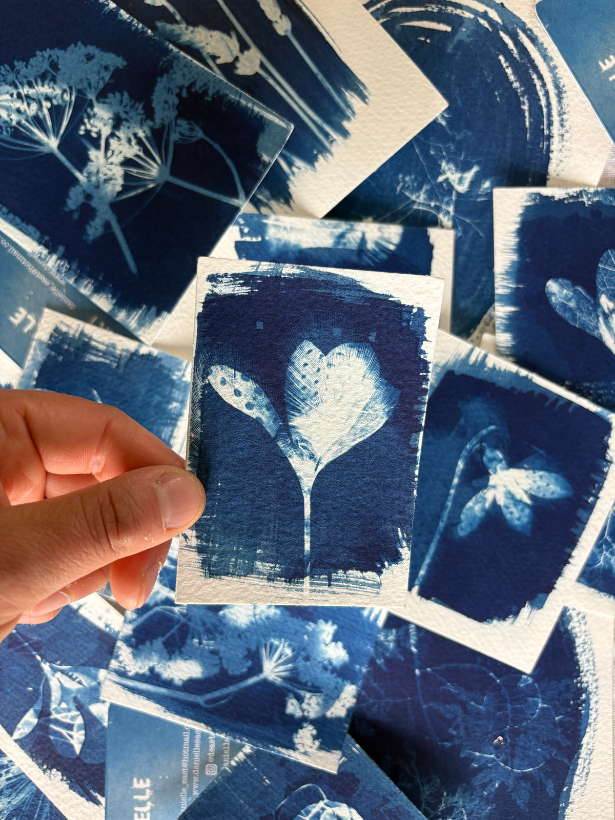 Crocus and Feathers Double Exposure 7x9.5cm - Original Print - SALE