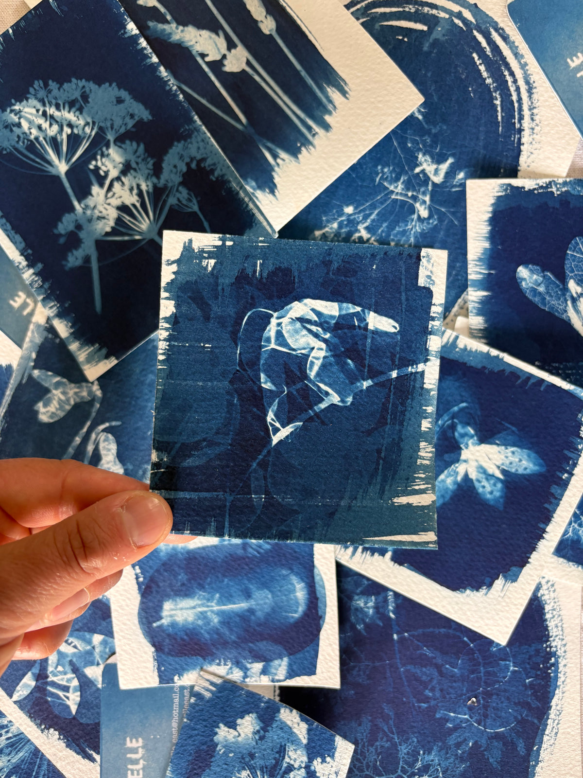 Snakeshead Fritillary & Honesty Double Exposure 9x9.5cm - Original Print - SALE