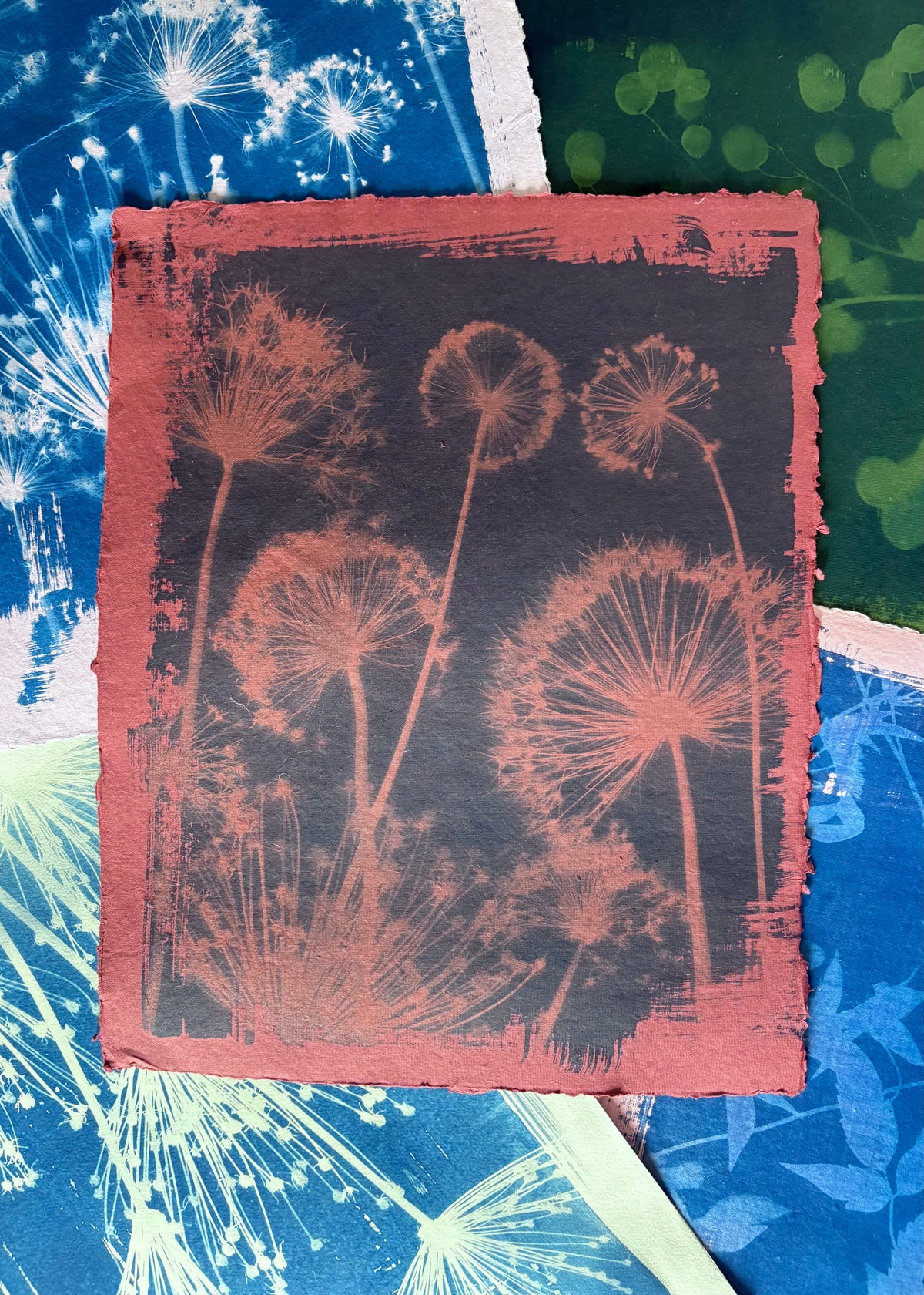 Red Alliums (40x52cm) Original Print - SALE