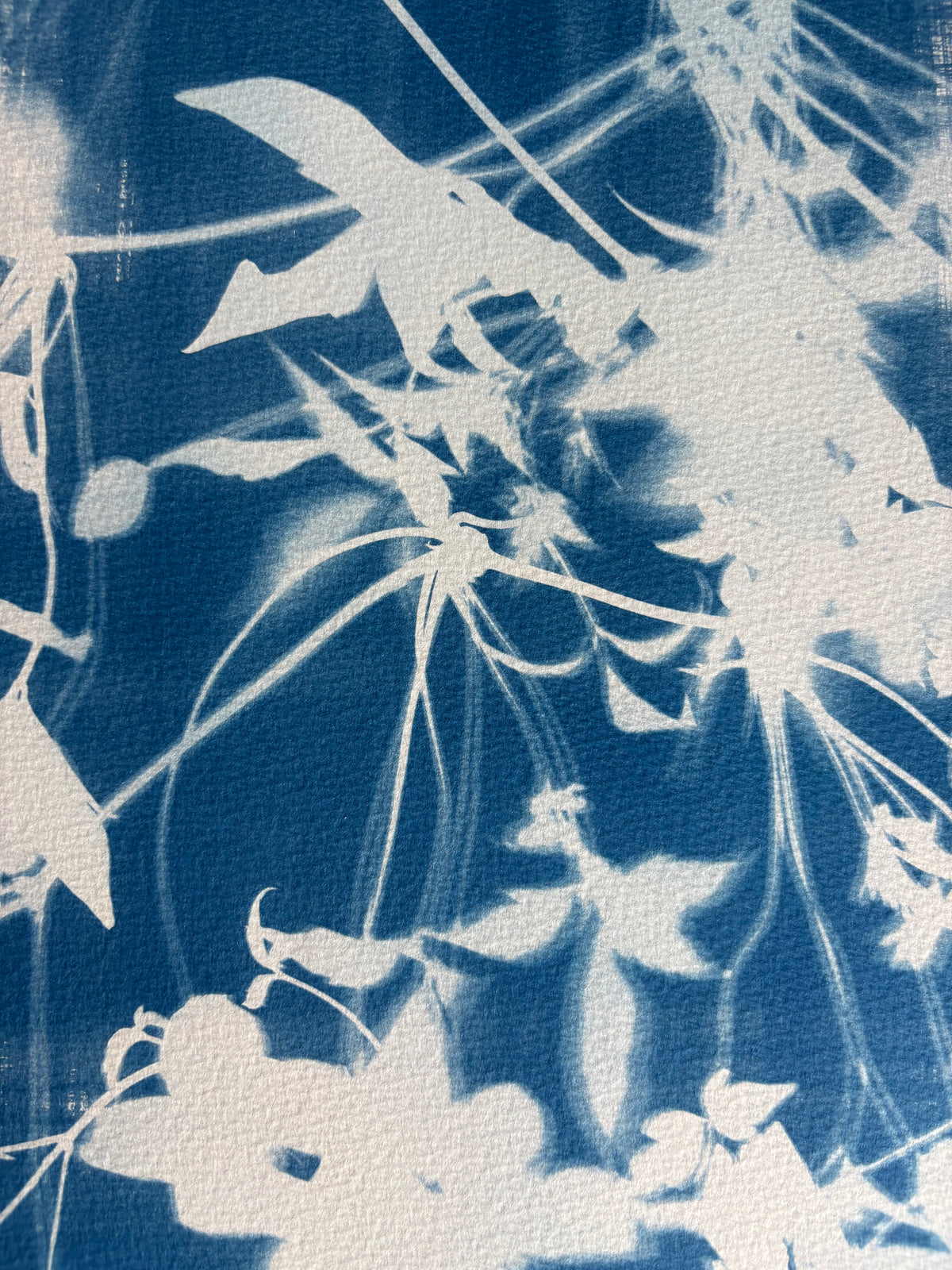 Clematis (15x22") Original Print - SALE
