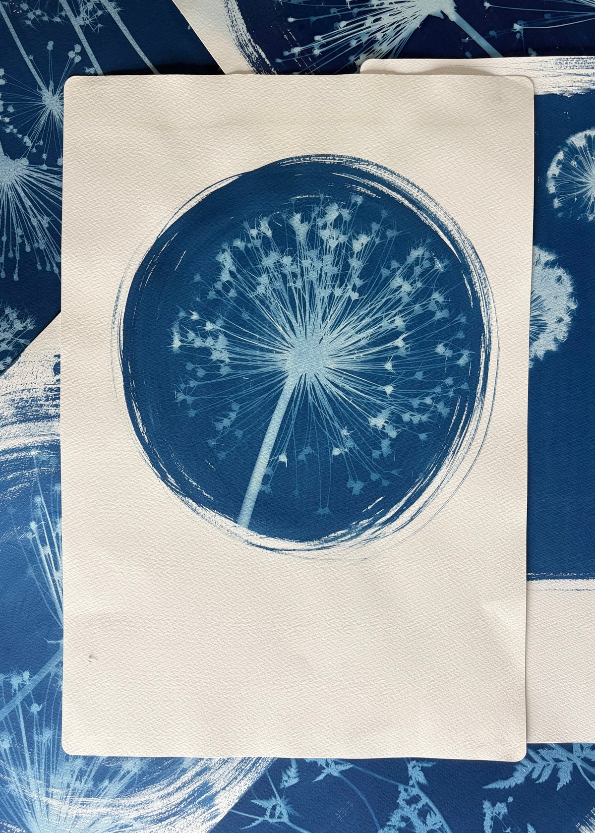 Allium round (15x22") Original Print - SALE