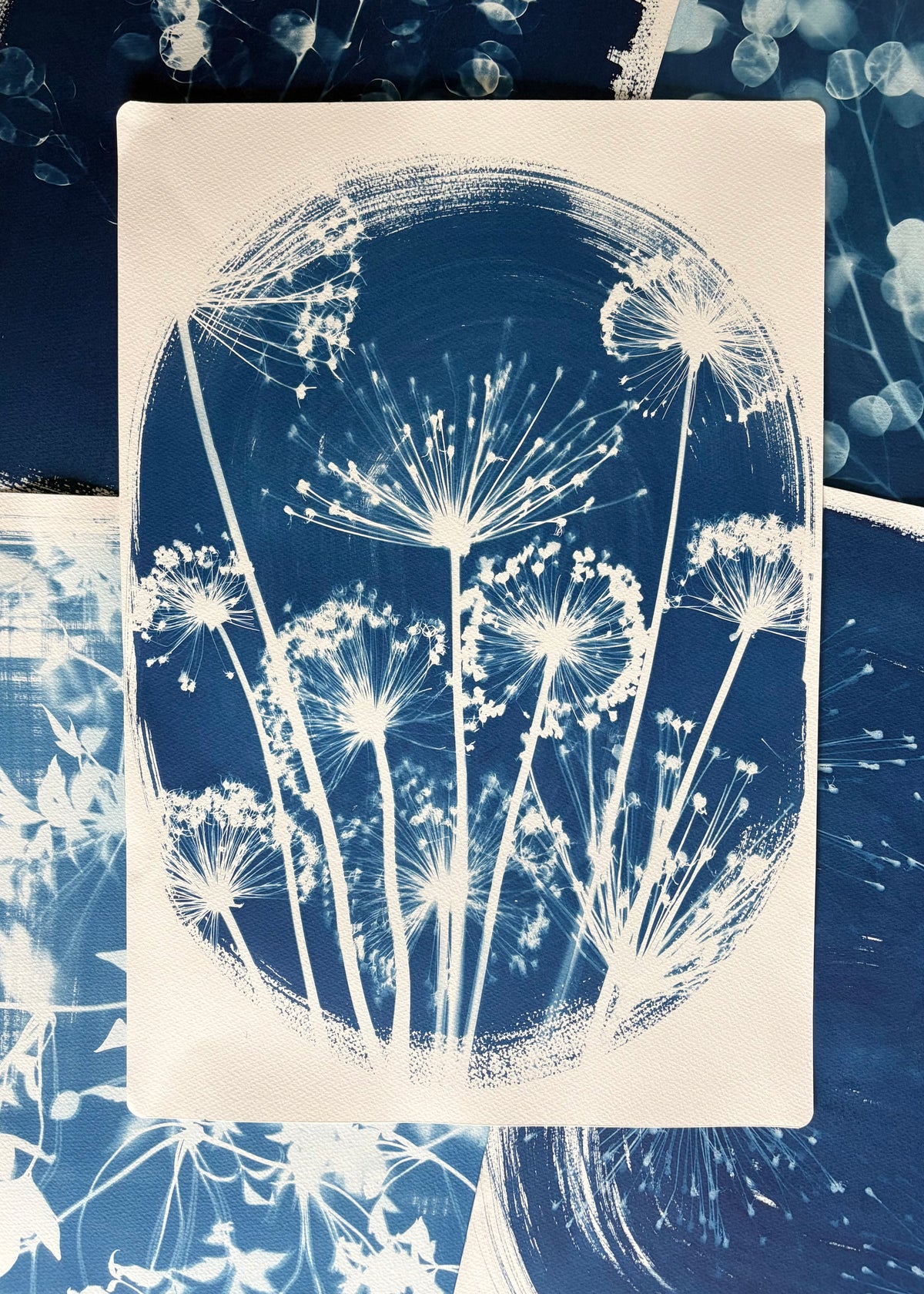 Alliums Oval (15x22") Original Print - SALE