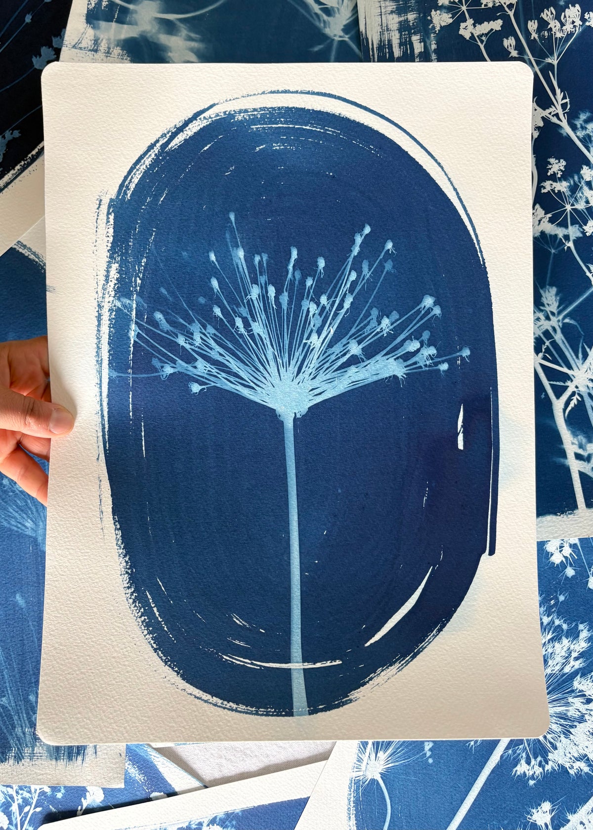 Spider Oval 11x15" (approx) Original Print SALE