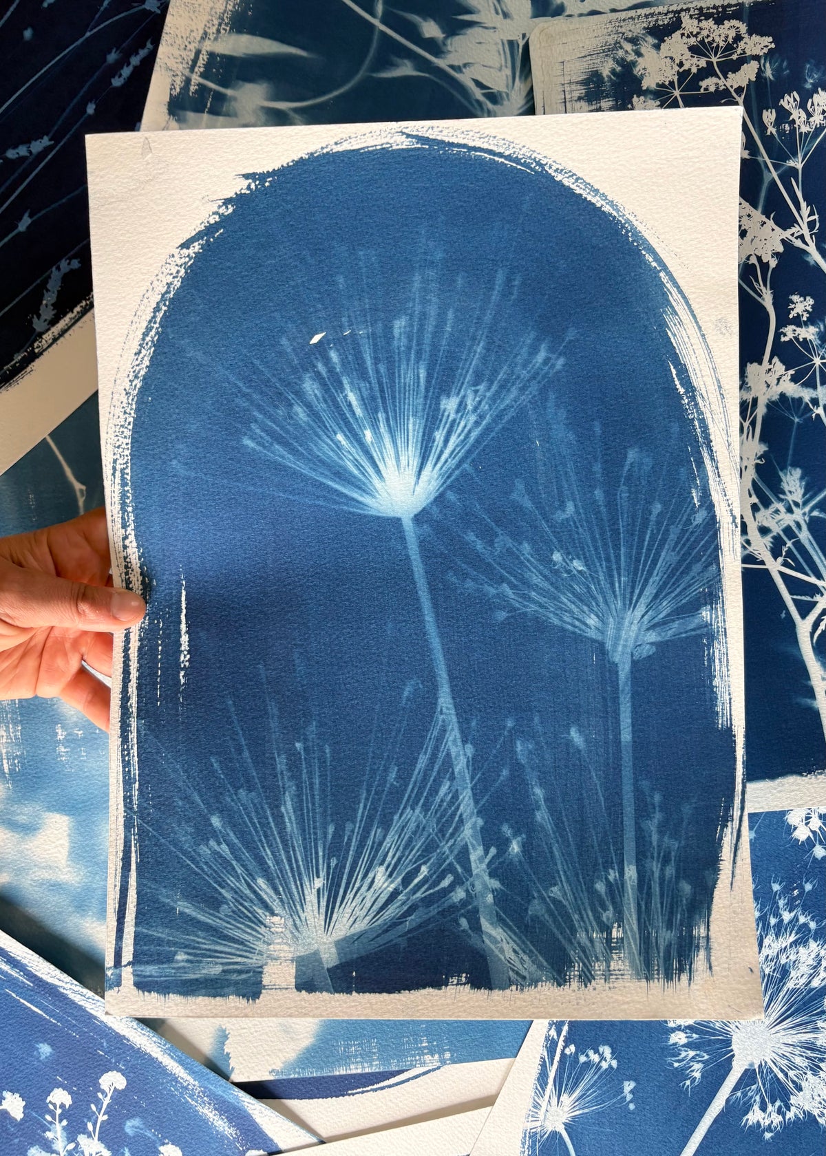 Spiders 11x15" (approx) Original Print SALE