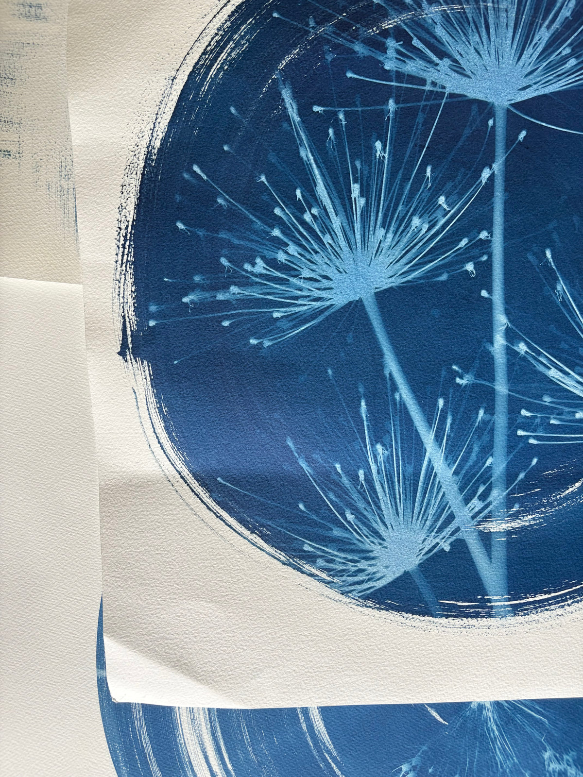 Spider in a round (21x22.5") Original Print - SALE