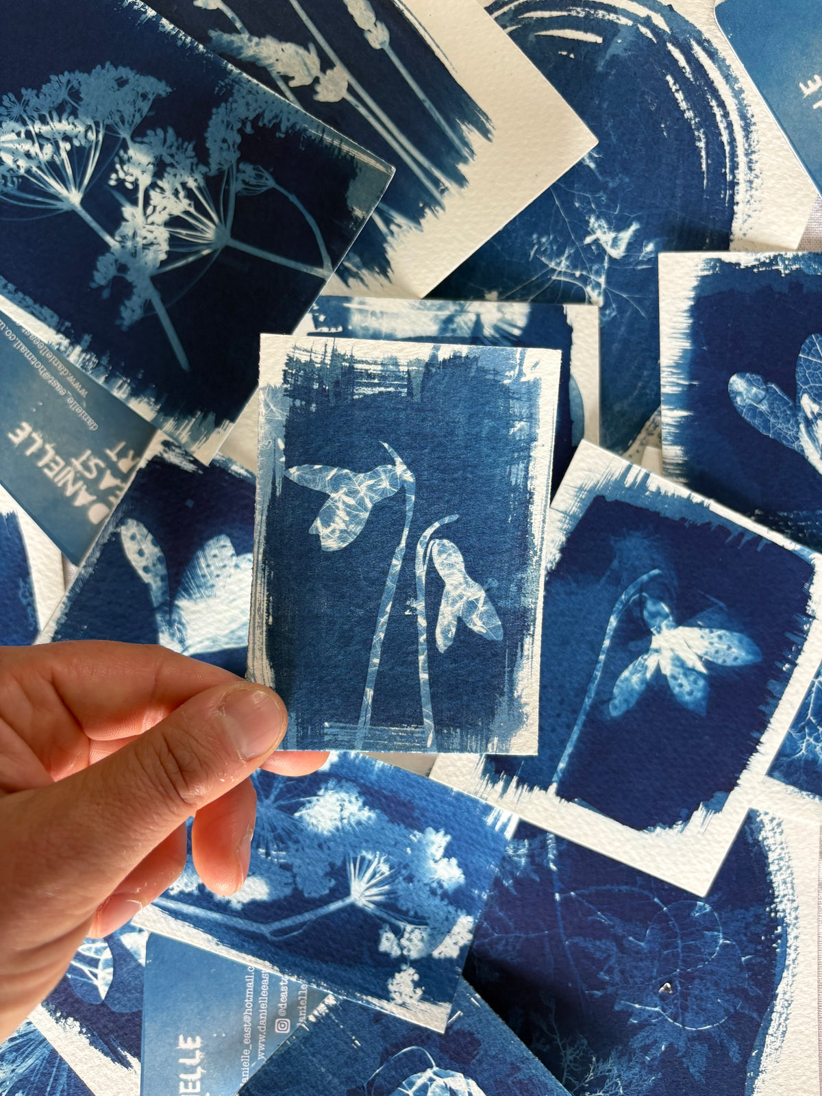 Snow Drop & Dandelion Kittens Double Exposure 7x9.5cm - Original Print - SALE