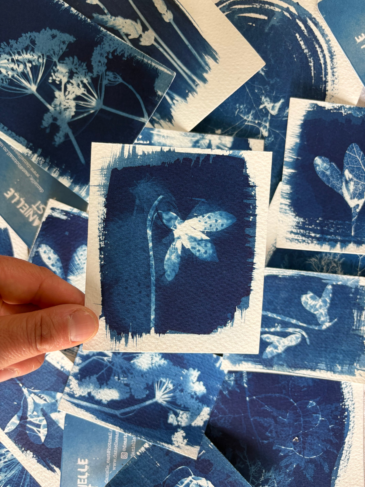 Snow Drop and Feathers Double Exposure 9x10cm - Original Print - SALE