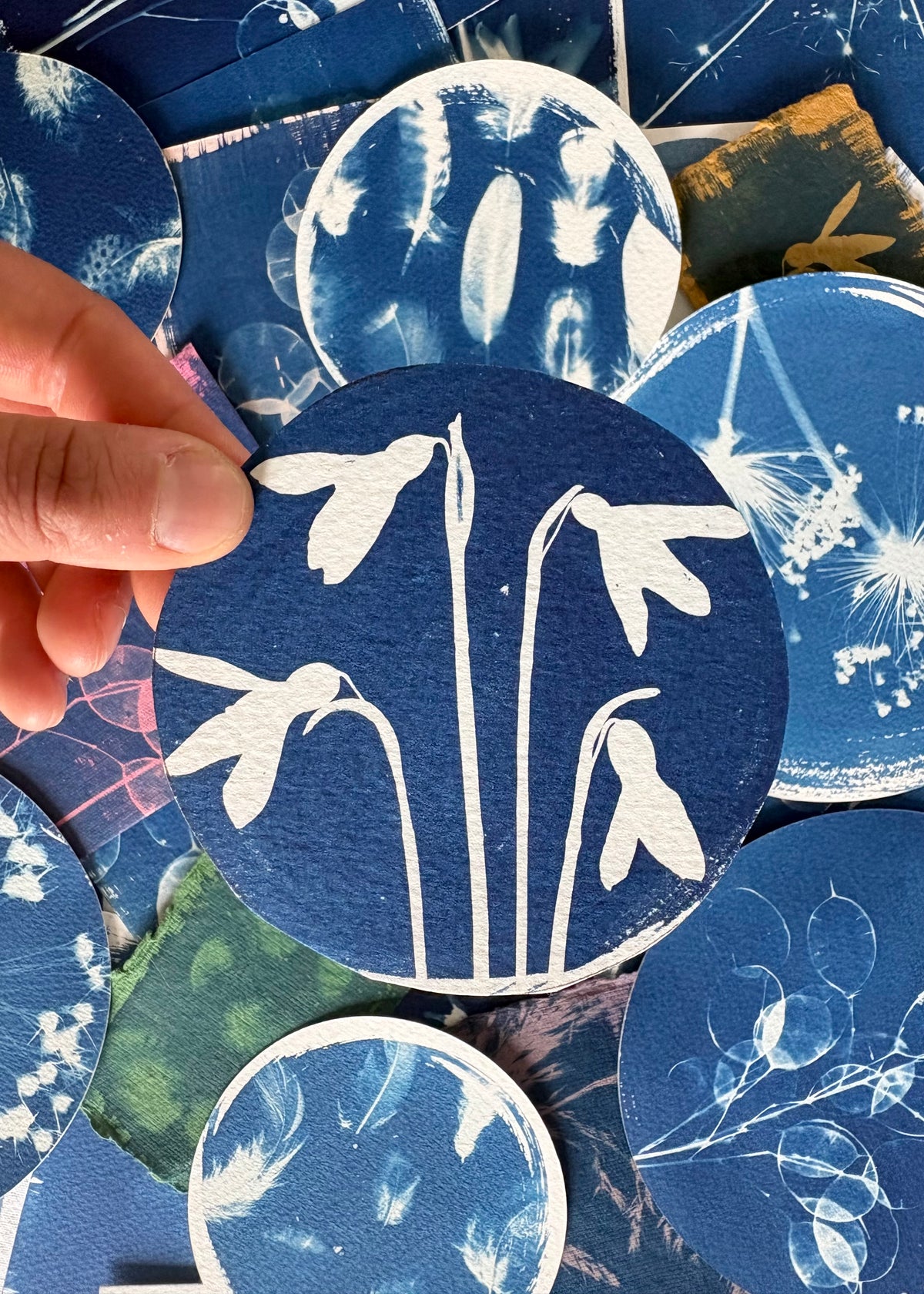 Snow Drop 4 round Diameter 10cm - Original Print - SALE