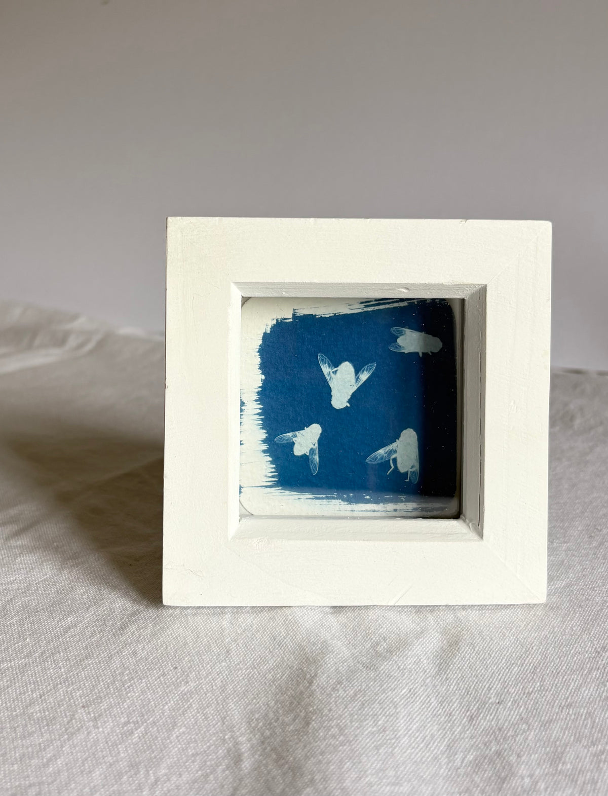 Flies white square glass box frame - SALE