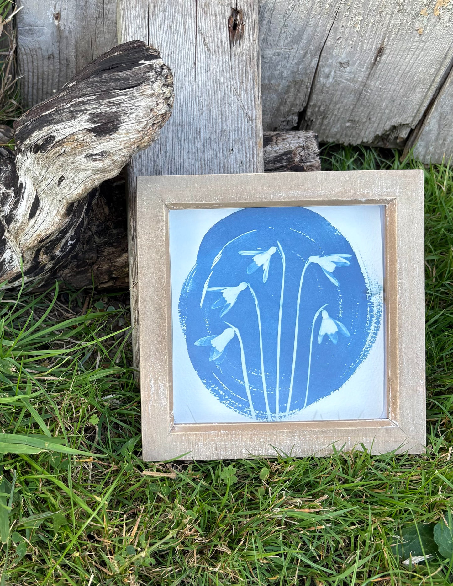 Snow Drop 5 - wood washed square glass box frame