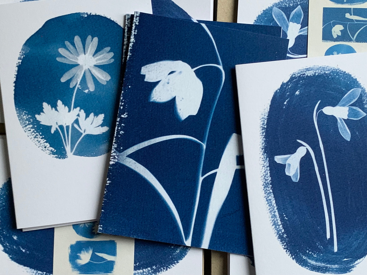 Close up of some of the Spring Flower cyanotype cards from Danielle East ART