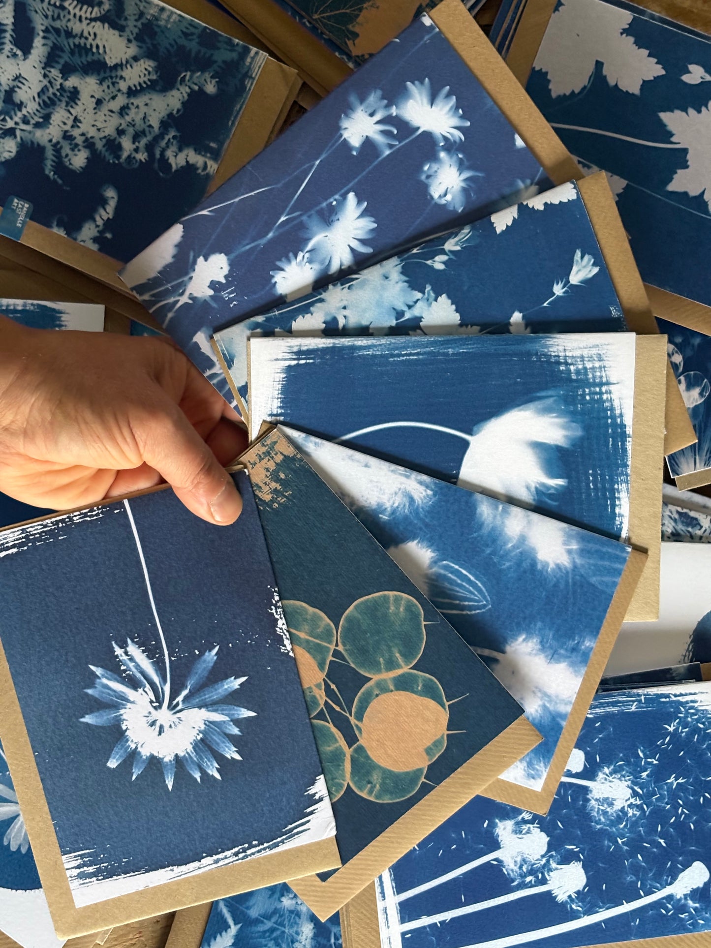 Cyanotype 2025 Bumper Lucky Dip Bags