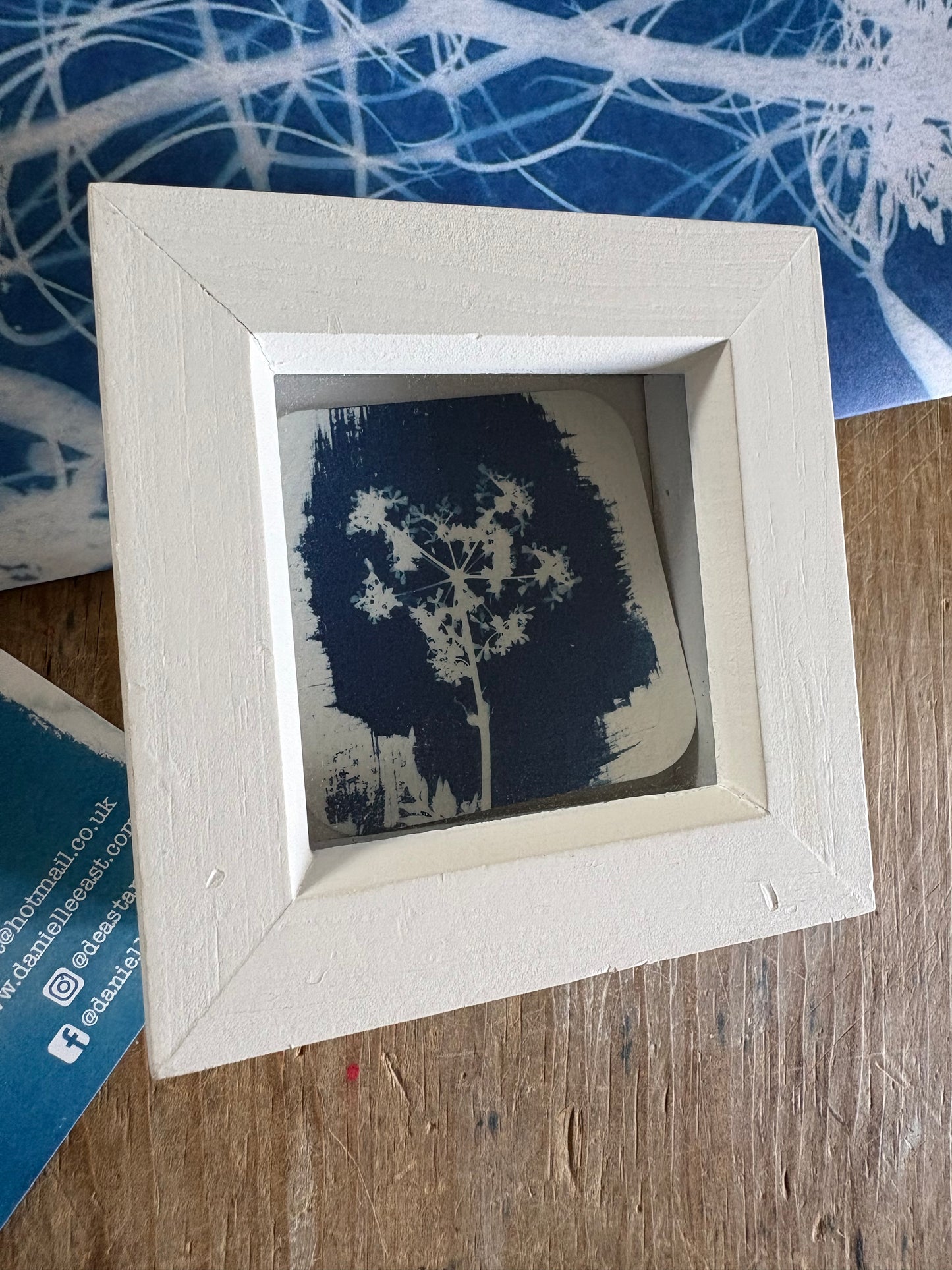 Cow Parsley -PRINT LOOSE - WHITE square glass box frame - SALE