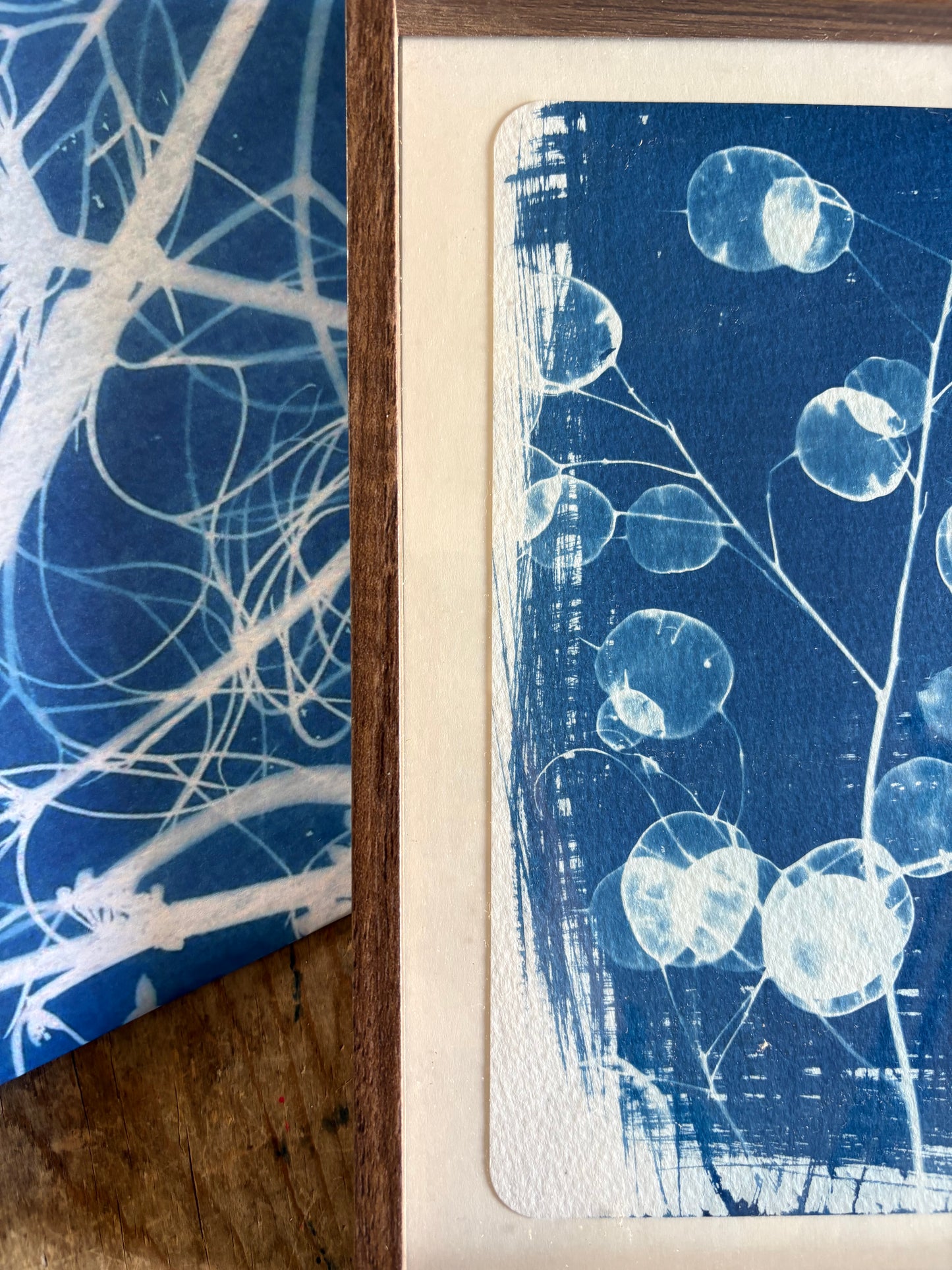 Honesty -OLD STOCK - Walnut coloured glass frame - SALE