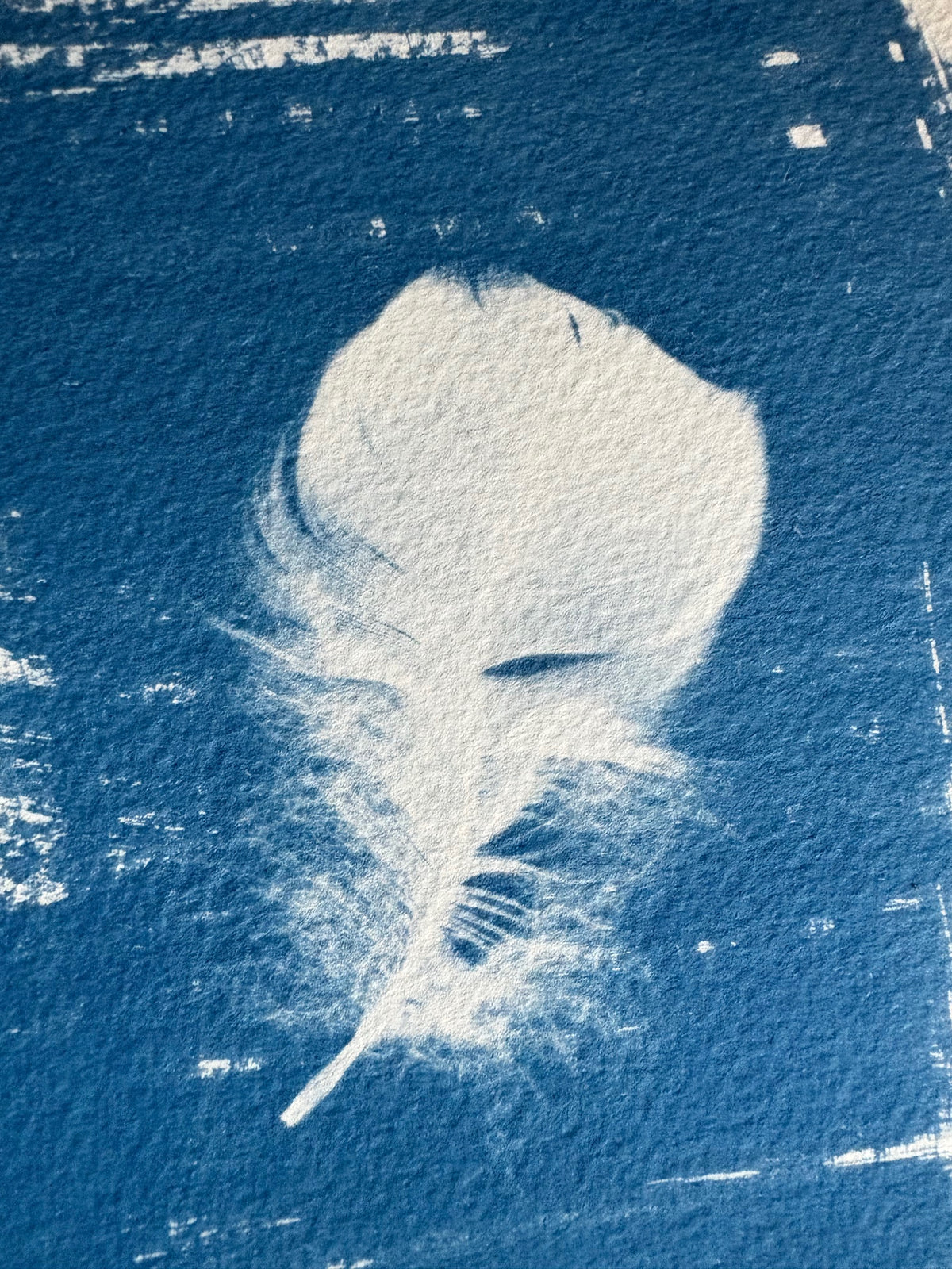 Pale Goose feather 14x19cm - Original Print - SALE