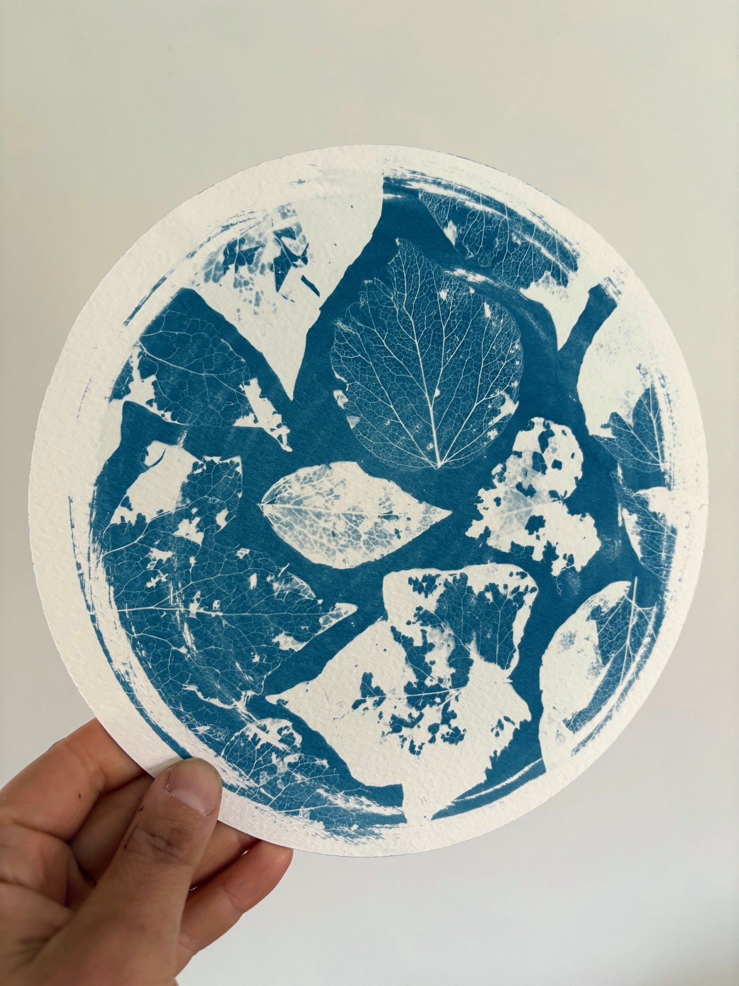 Leaf Skeleton - LOOSE CLASP - Brass Framed Circle Cyanotype - 21.5cm Diameter - SALE