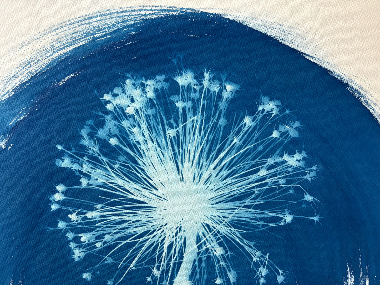 Allium Half Moon (15x22") Original Print - SALE