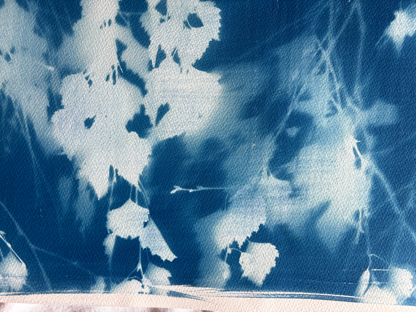 Full Birch Tree (15x22") Original Print - SALE