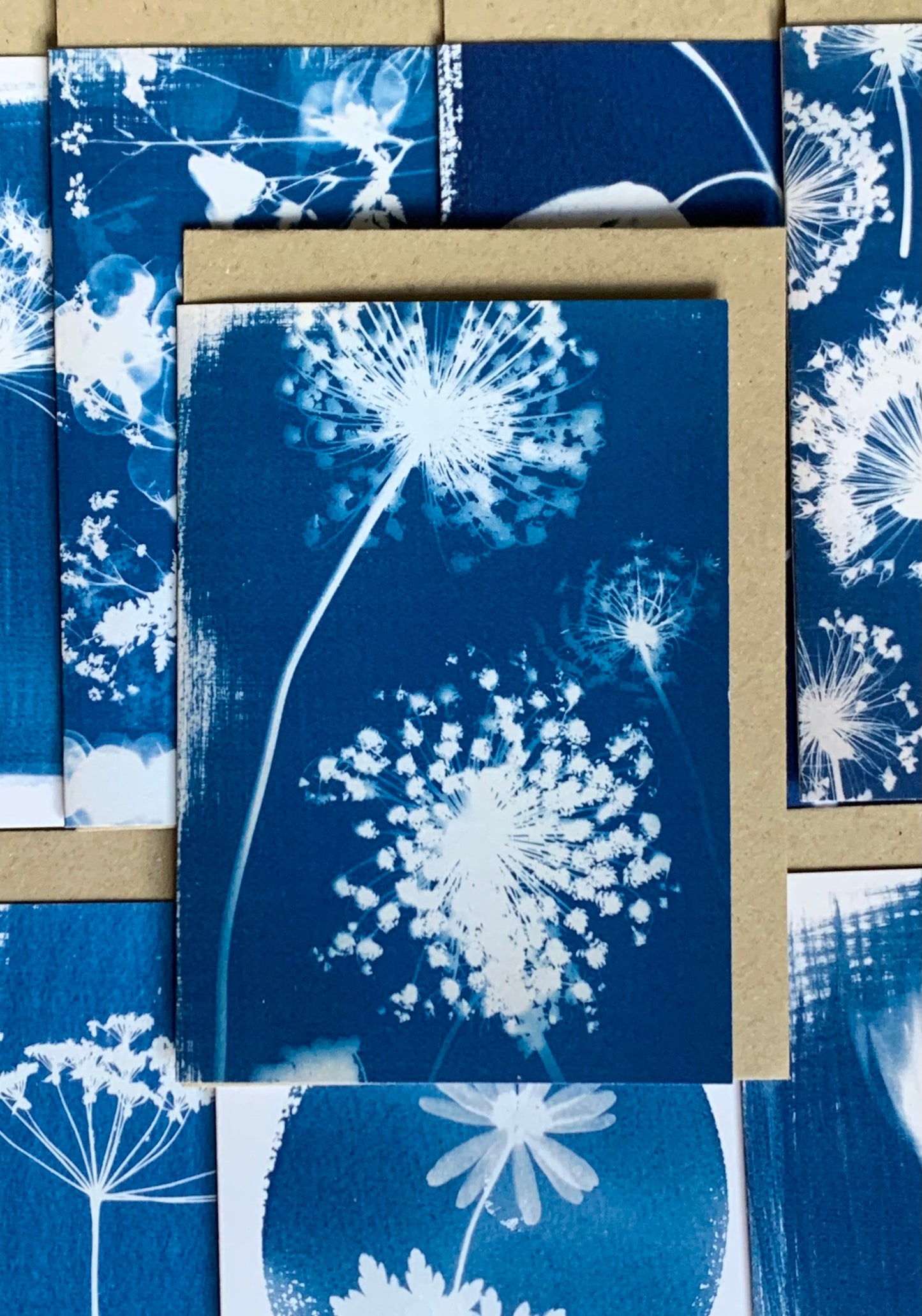 Umbellifers Cyanotype Blank Greetings card from Danielle East ART 