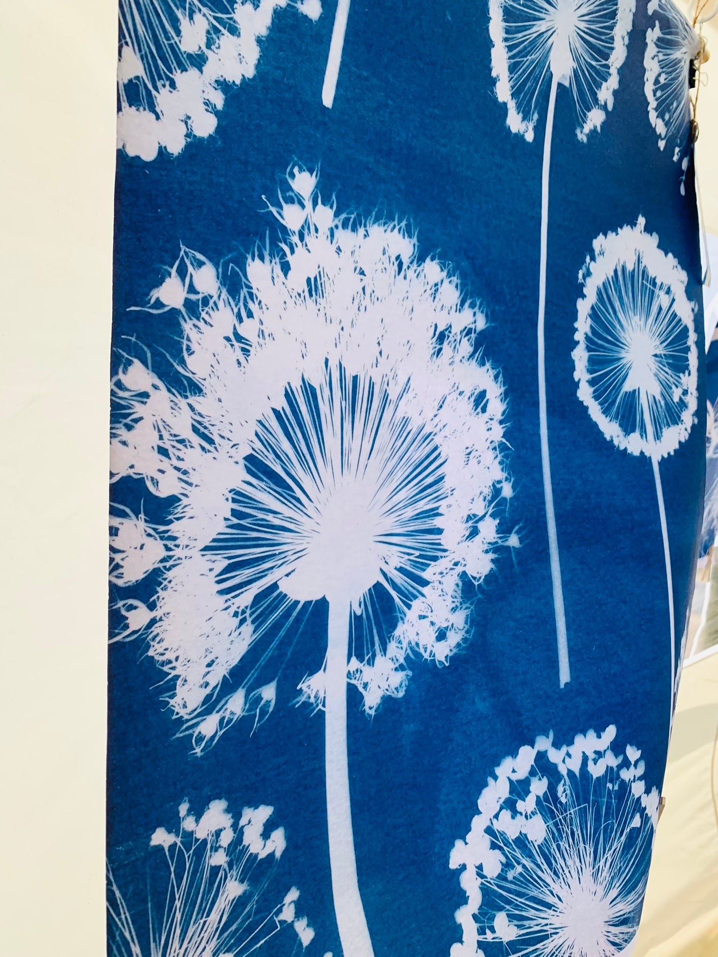 Allium Wallpaper - Cyanotype - Gift Wrap