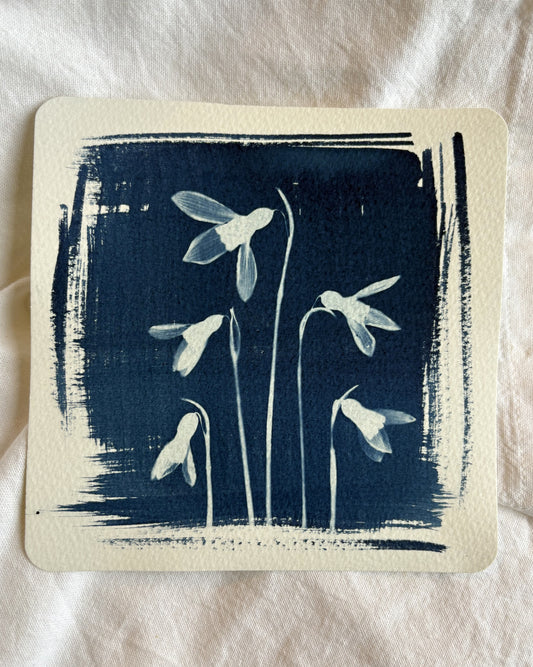 Snow Drops 16.2x16.2cm - Original Print