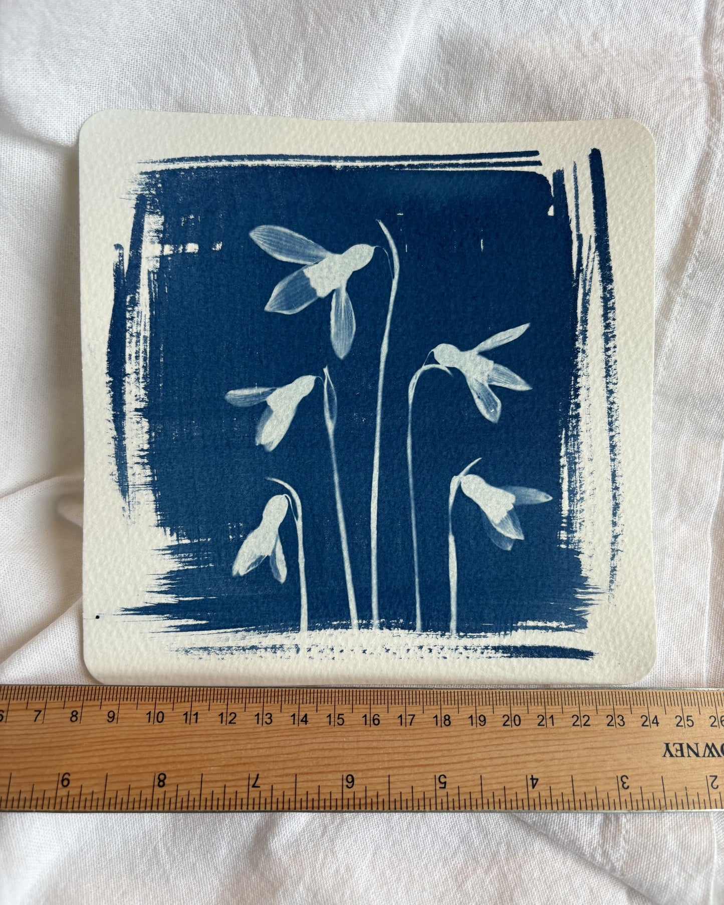 Snow Drops 16.2x16.2cm - Original Print
