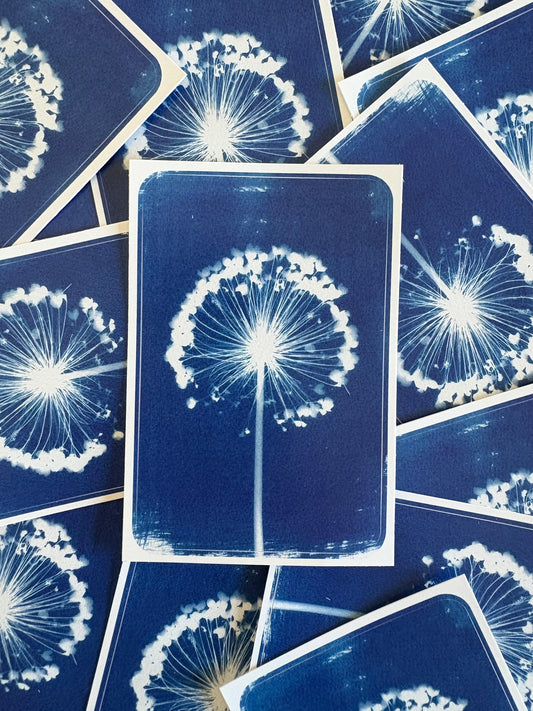 Allium - Rectangle Sticker