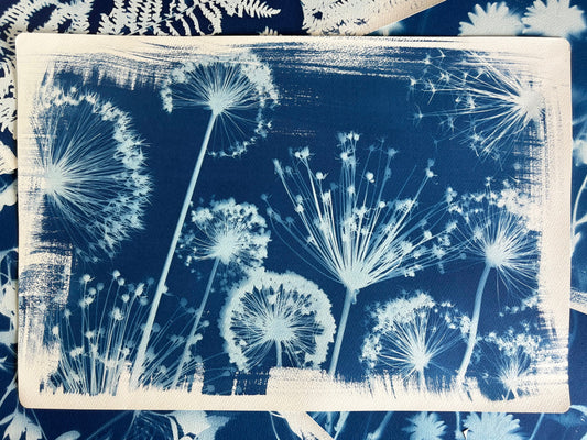 Allium Landscape (15x22") Original Print