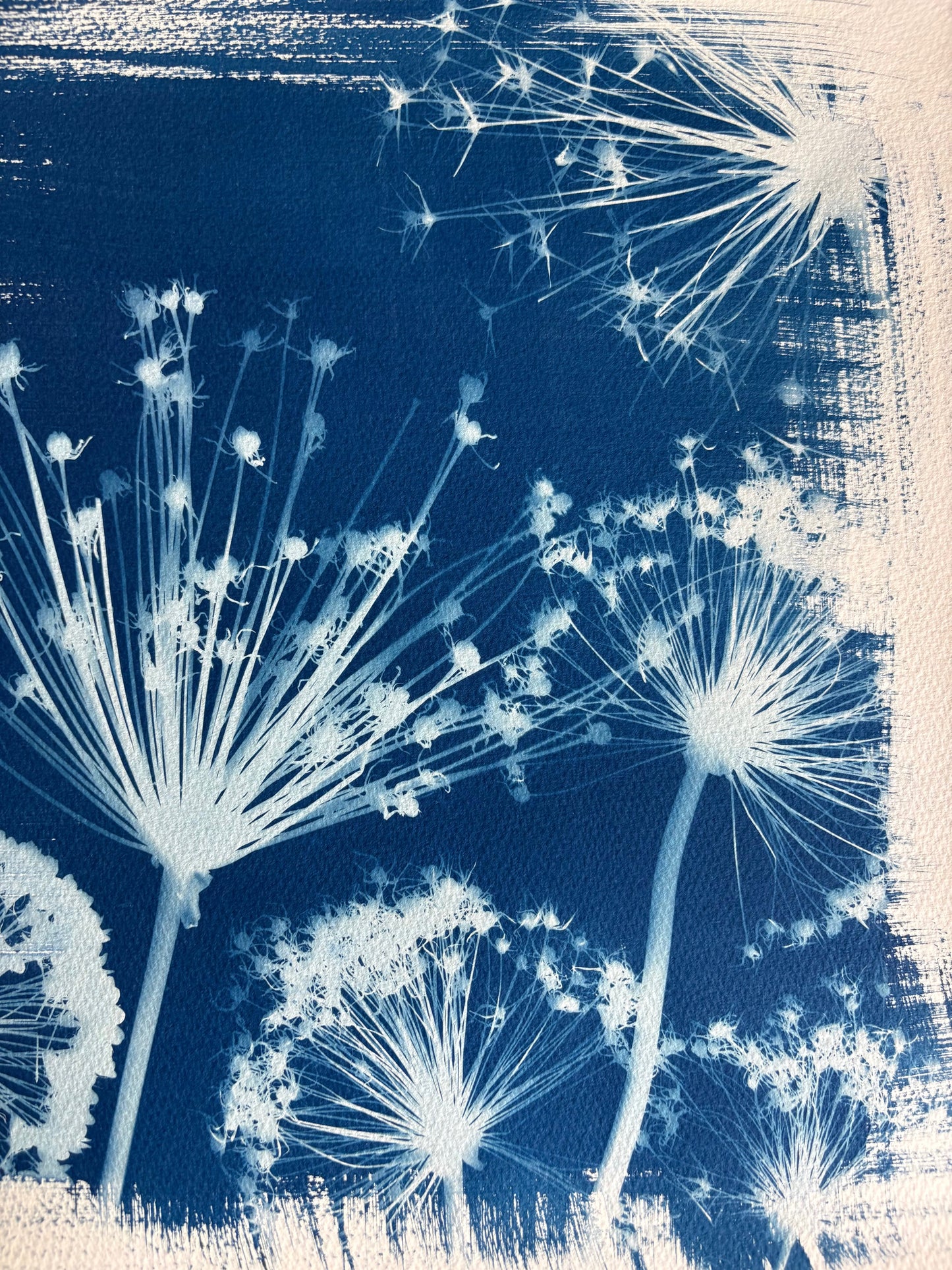 Allium Landscape (15x22") Original Print