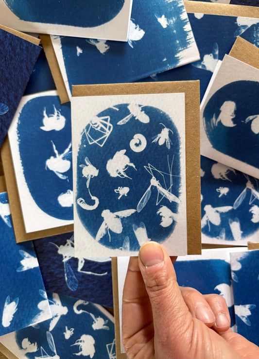 All the bugs - Cyanotype - A7 Blank Card