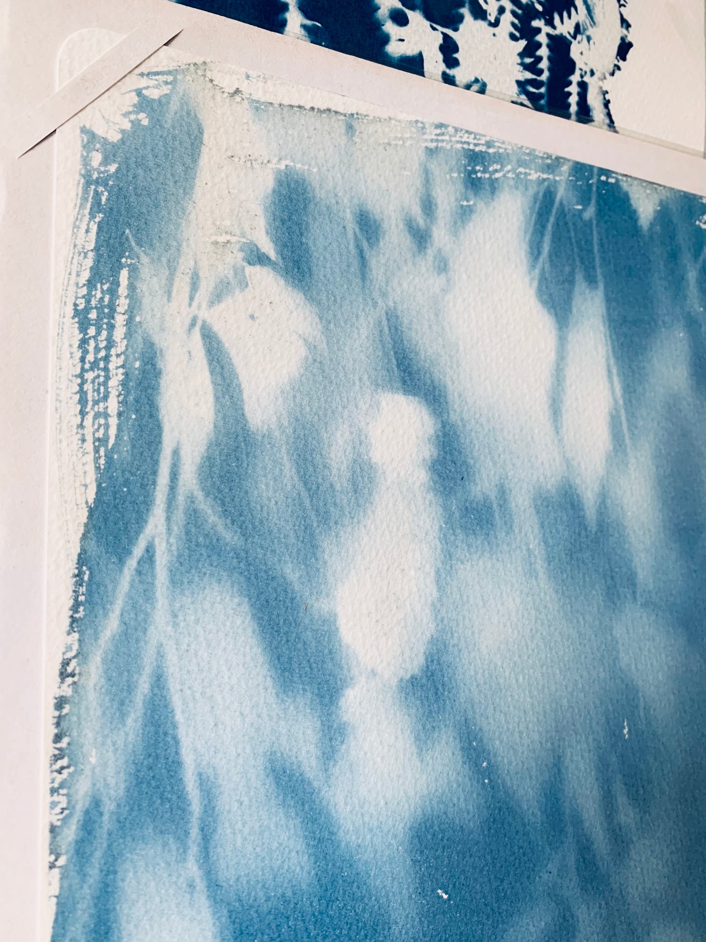 Birch Tree light- Cyanotype 38x28cm (approx) Original Print- SALE