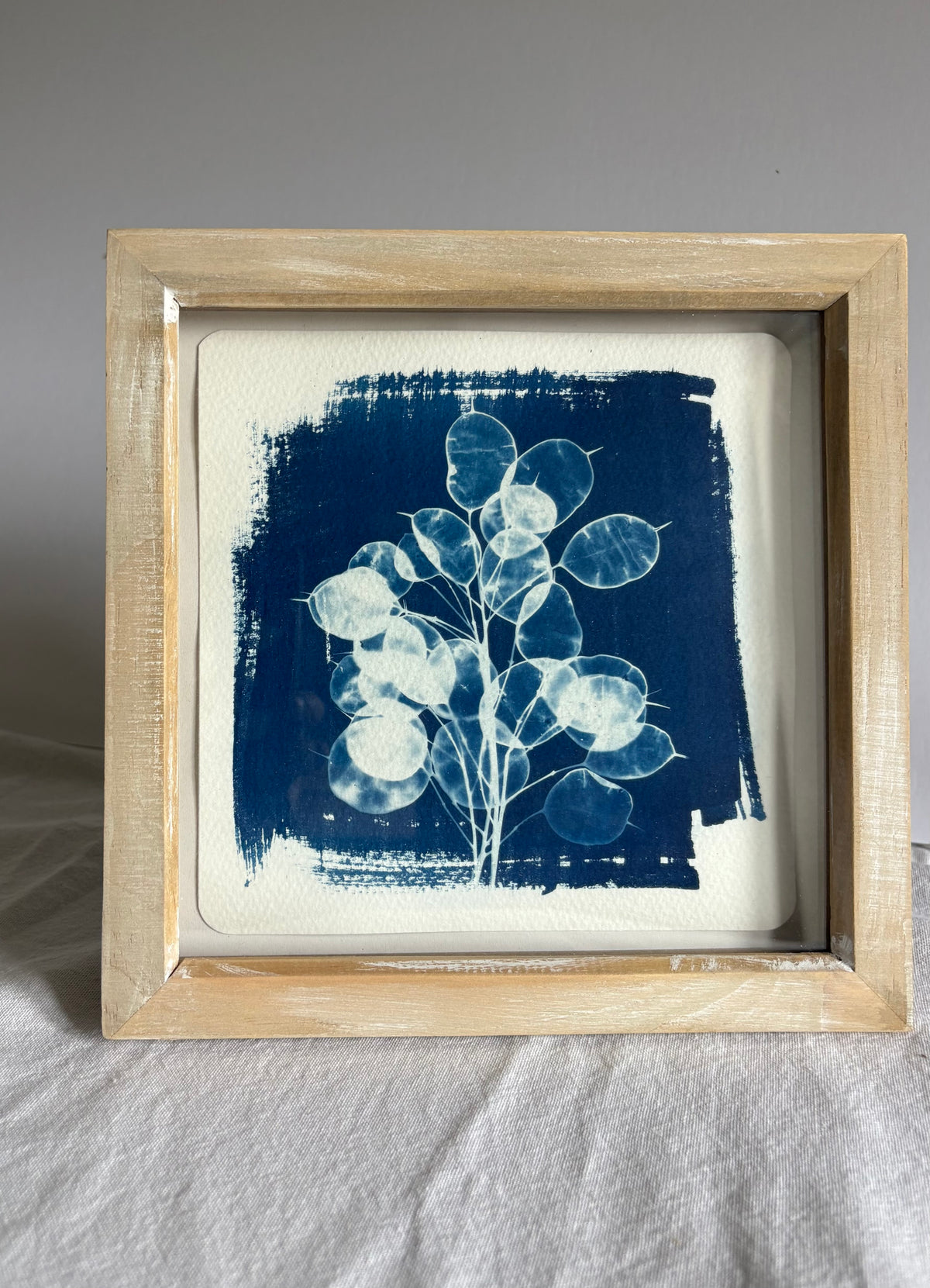 Honesty - wood washed square glass box frame SALE