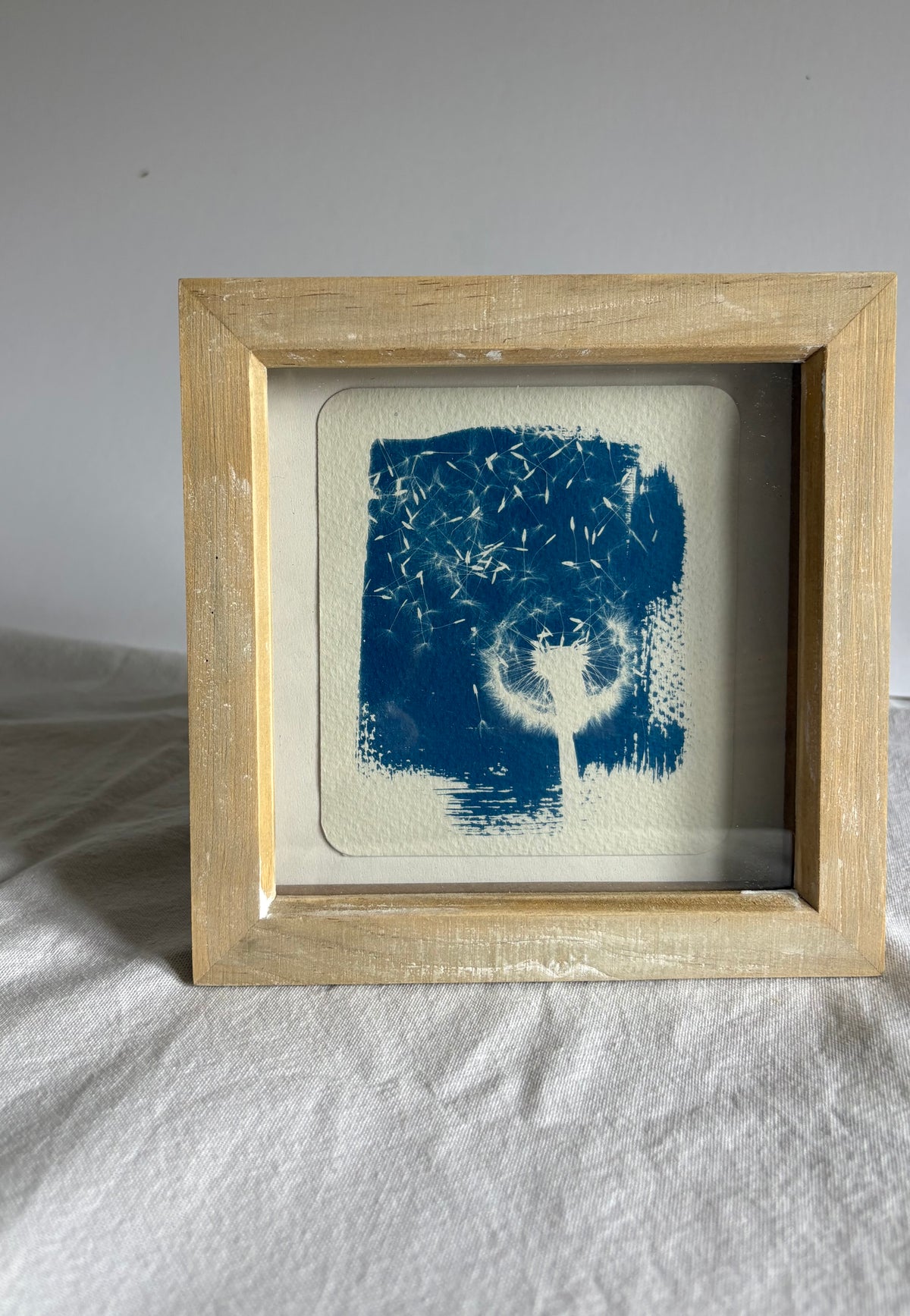 Dandelions - wood washed square glass box frame SALE
