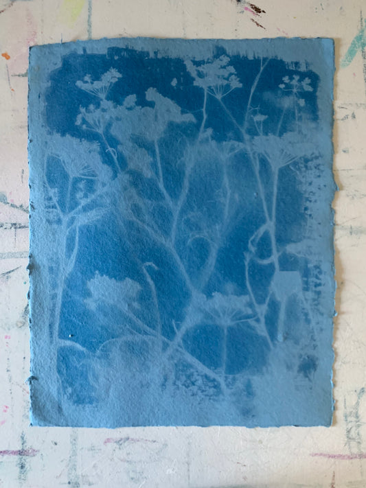 Blue Fennel (40x52cm) Original Print - SALE