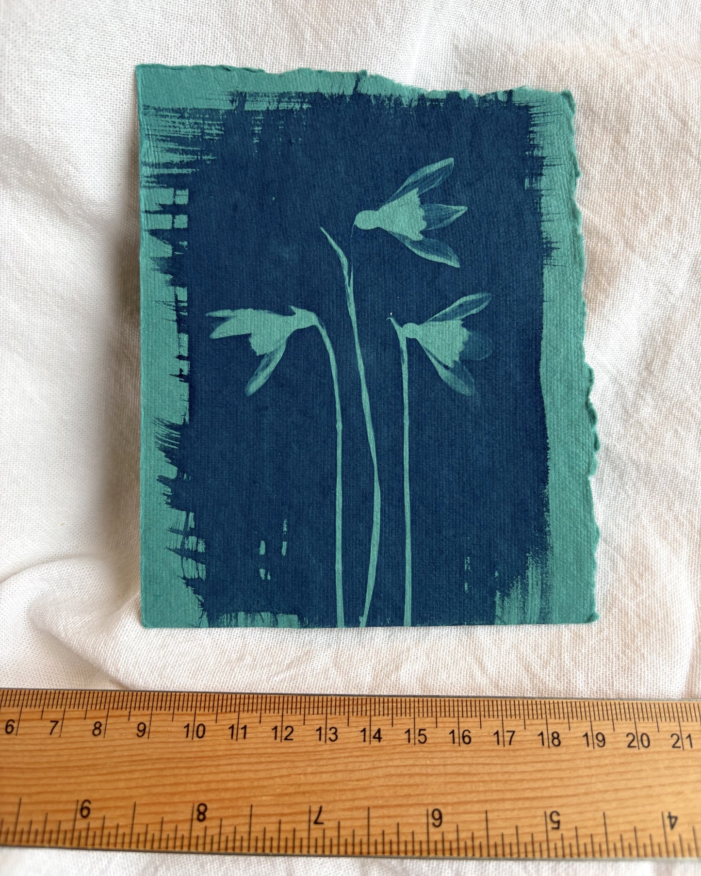 Blue Snow Drops 11x13.5cm (approx) - Original Print